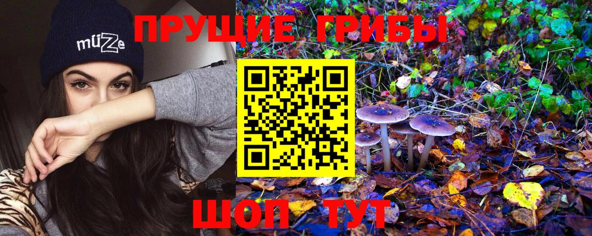 купить наркоту  Вход с VPN  Великий Устюг  Псилоцибиновые грибы Magic Shrooms  Псилоцибиновые грибы мицелий 