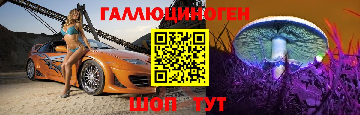 Псилоцибиновые грибы мухоморы Великий Устюг